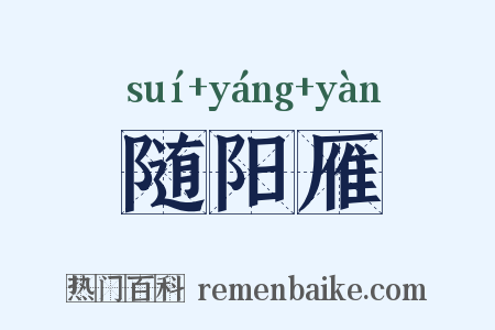 随阳雁是什么意思的图片